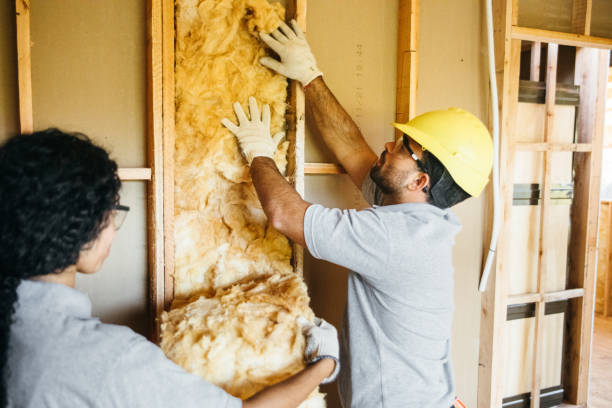 Types of Insulation We Offer in Huachuca City, AZ